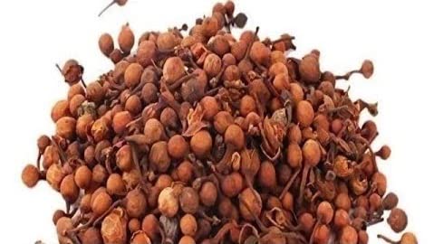 Akshayshree Sales Original Nagkesar Seeds/Nag Kesar/Nagakesara/Nagkesar/Mesua Ferrea/Champa Phool/Saffron Nagaesara (Pack of 1-50 gm)