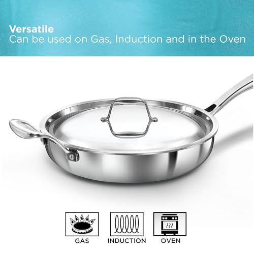 Hawkins Pro 26 cm Frying Pan, Triply Stainless Steel Fry Pan with Stainless Steel Handle and Stainless Steel Lid, Silver (PSF26S)