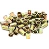 Zinc Plated Carbon Steel Rivet Nut Flat Head Insert Nutsert Pack of 50 (1/2-13)