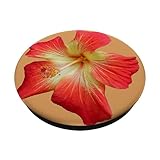 Zoom IMG-1 splendido fiore di ibisco hawaiano Zoom IMG-1 splendido fiore di ibisco hawaiano