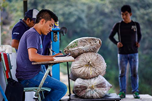 Martini Coffee Roasters - Premium Unroasted Green Coffee Sampler Pack - Includes Four, 1Lb Samples Of Single Origin 100% Raw Green Arabica Coffee Beans - The Best Of Africa, Central America, South America, Etc. #TOP5