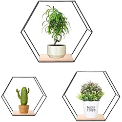 Estanteria Hexagonal Primark Umelee Juego de 3 estantes de Pared hexagonales, estantes flotantes Negros, estantes Colgantes de Metal y Madera para Dormitorio, baño, Sala de Estar, Cocina, lavandería y decoración de Pared (Negro)