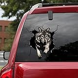 3D Native Wolf Decals for Animal Lovers, Meaning Gift for Wolf Lovers, Car Decals, SUV Window Glass Personalized Decoration, Bumper Stickers for Car Window Side Rear