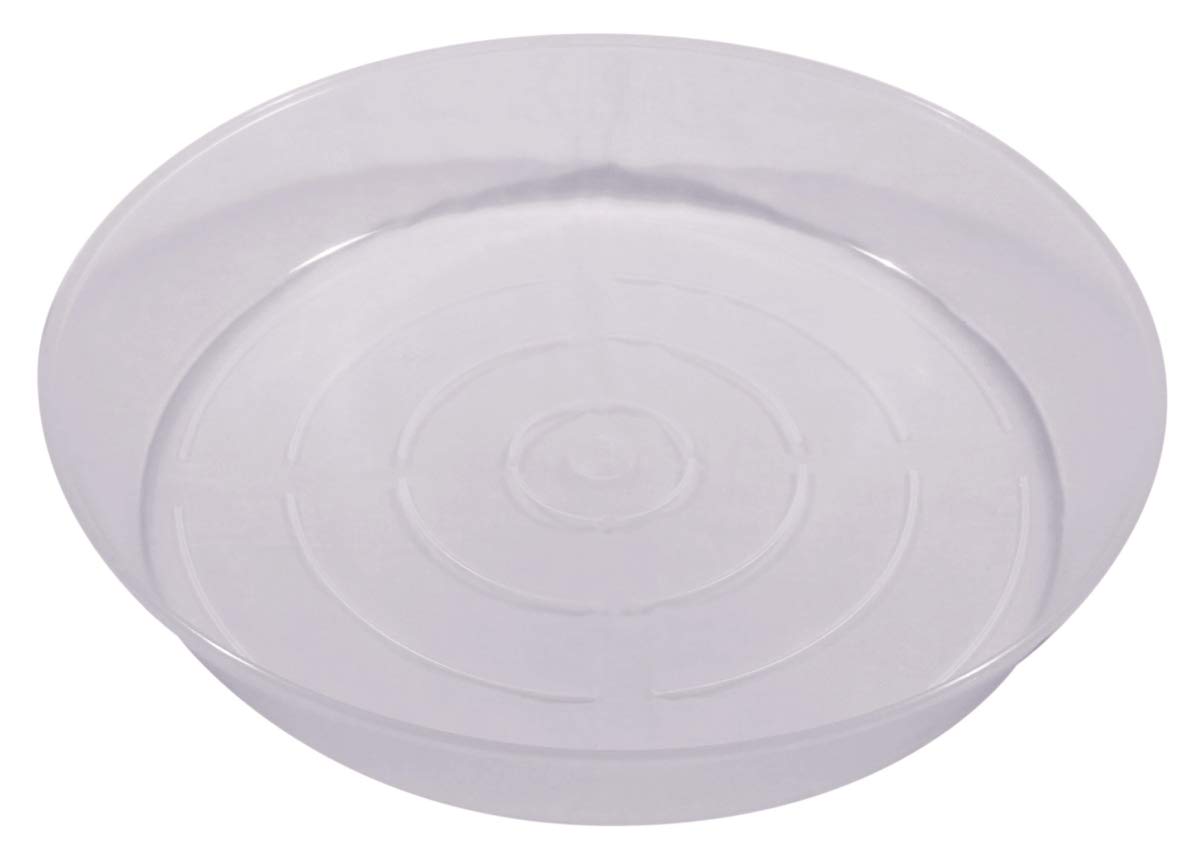 Austin Planter 12AS-N5pack 12 in. Clear Saucer - Pack of 5