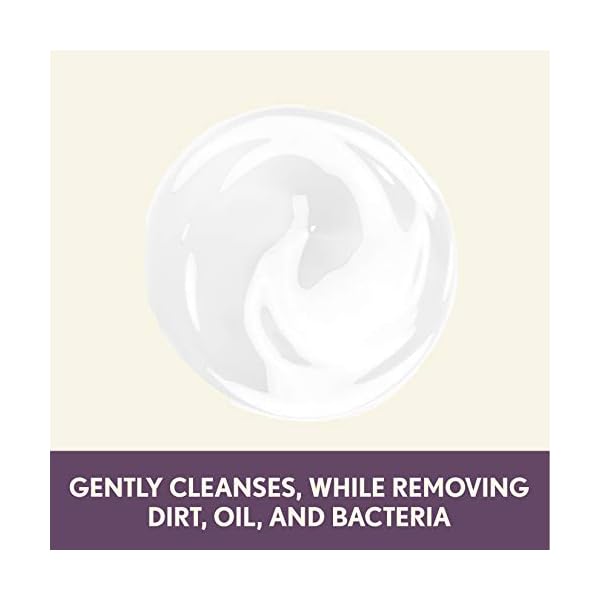 Aveeno Absolutely Ageless Nourishing Daily Facial Cleanser, Antioxidant-Rich Blackberry Extract, Non-Comedogenic Makeup-Removing Face Wash from Dermatologist-Recommended Brand, 5.2 fl. oz