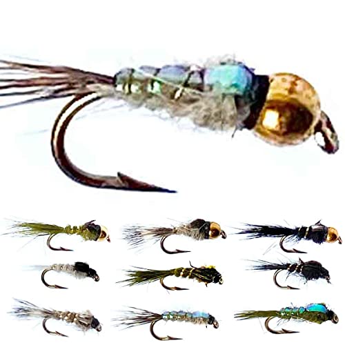 artlies jt wA[YC[jt 10{Zbg (#12#14) itC tC tBbVO  ނ GAgEg GA A[gCY A[ ދ tCtBbVO  (PS)