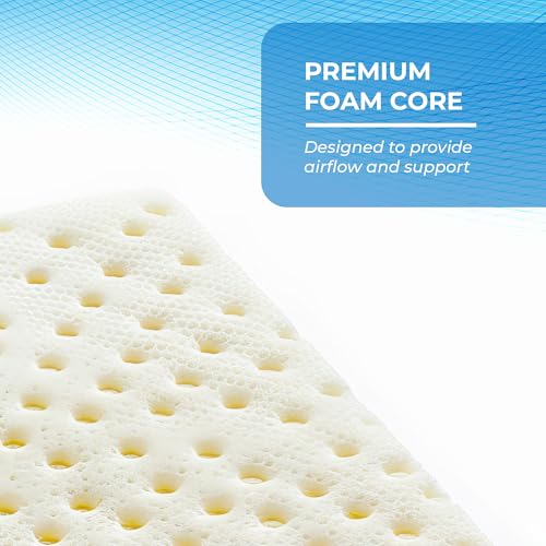 Roscoe Medical Hospital Bed Mattress for Medical Bed, 80\" x 35\", Foam, Waterproof, Nylon Cover, Non Slip, 350lb Weight Limit, Medical Mattress for Home Use