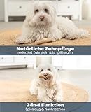 lionto Kaffeeholz für Hunde, Größe XS, 100% natürliches Robustes Kauspielzeug für gesunde Zähne, umweltfreundlicher Kauknochen für Welpen, langlebig & splitterarm, für Hunde unter 3 kg