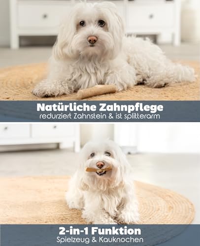 lionto Kaffeeholz für Hunde, Größe XS, 100% natürliches Robustes Kauspielzeug für gesunde Zähne, umweltfreundlicher Kauknochen für Welpen, langlebig & splitterarm, für Hunde unter 3 kg