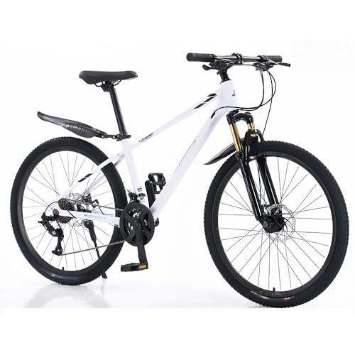 自転車 マウンテンバイク フルサス」の人気商品一覧 | 安い商品を通販