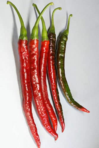 60 SEMI DI PEPERONE Sigaretta di Bergamo