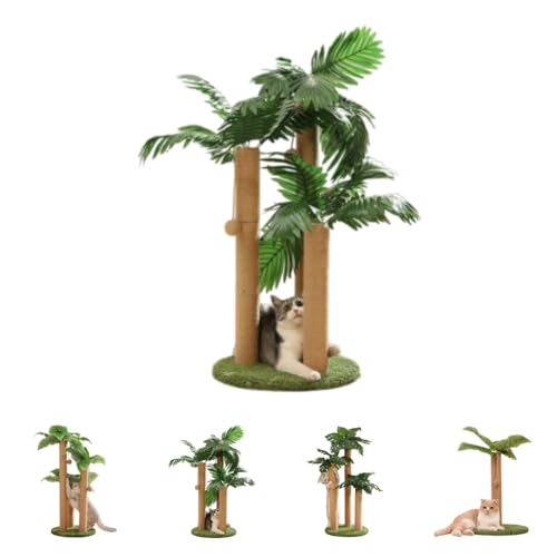 SJGEIDM�L�܂Ƃ��|�[�� �� ���V�̖� �L���b�g �߂Ƃ� �T�C�U���� �X�N���b�` �������� �����u�� �]�|�h�~ ���� ��� �c�^ �X���� �ϋv �˂� �߂Ƃ� �ȃX�y�[�X �Ƌ�j��h�~ �^���s�����P (�A���J���V��3�{�̒�)