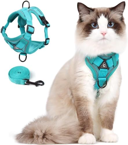 Weste Geschirr Leinen Set für Kleine Hunde und Große Katzen, Katzen Geschirr Set mit Leine Ausbruchsicher Verstellbare Jacke für Dicke Katzen, Weicher Netzmantel mit Reflektorstreifen, XL Grün