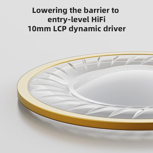 Image of FiiO /JadeAudio JD1 High Performance Dynamic Driver HiFi Bass Stereo in Ear Monitor Headphones Sport Gaming Earbuds with Mic (Silver)