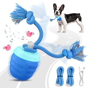 Juguetes interactivos para perros – Pelotas activadas por movimiento mejorado 2025 para perros medianos/medianos, juguete de movimiento automático para perros, bola malvada para aburrimiento