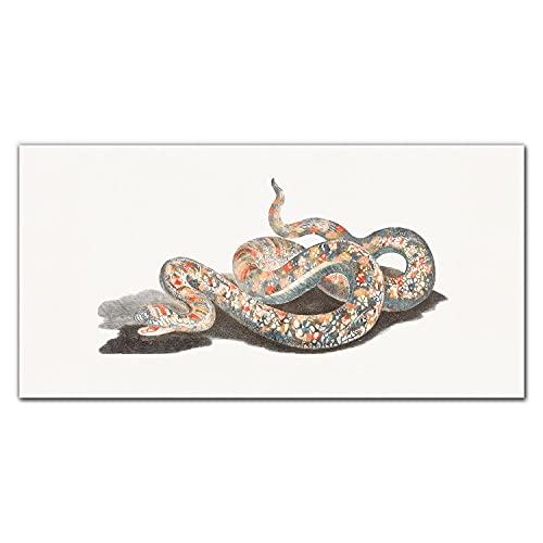Décoration Tableau En Verre Serpent Impression Sur Verre Trempé 100x50cm