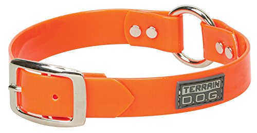 Collar para perro Terrain D.O.G. Brahma Webb