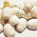Stress Relief Toys,Cute Soft White Seal Sensory Fidget Toys Squeeze Healing Toy Adult Kids Gift Used to Relieve Stress,Christmas Birthday Gift White 1pcs