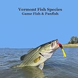 Vermont Game Fish and Panfish Species Kids Book: Great Book About the Different Types of Fish in Vermont