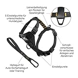 Kurgo Tru-Fit Smart Hundegeschirr, Mit gepolstertem Brustteil und D-Ring, Inklusive Autosicherheitsgurt, Größe M, Schwarz