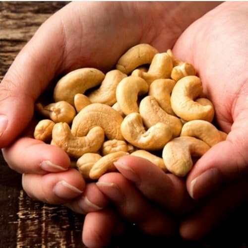 素焼きカシューナッツ 無塩・無添加 500g チャック付き袋 大容量 おやつ&おつまみに【大浜スイーツアカデミー】