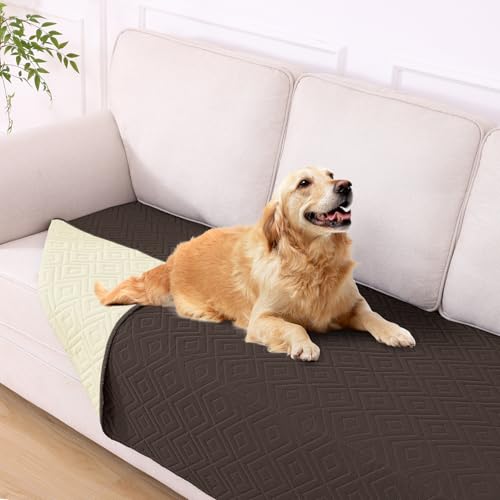 hyha hpuPbgA\tghbOxbhJo[ybguPbgAph\t@JE`Jo[Ao[Vuybg\t@Jo[\t@Ƌp(40x80C`A`R[g/x[W)