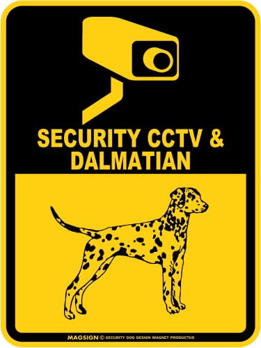 [MAGSIGN] �_�����V�A���x����/�h�ƃJ�����Ď��� �p�� SECURITY CCTV�� DALMATIAN �Z�L�����e�B�[�X�e�b�J�[/�o���p�[�X�e�b�J�[ �C�G���[(���F) ���{�� SS�T�C�Y