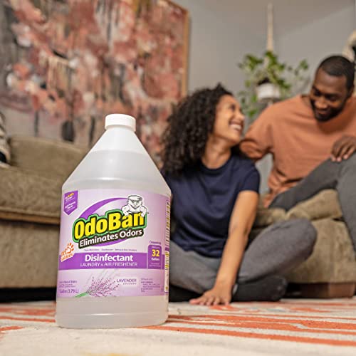 Odoban Disinfectant Concentrate And Odor Eliminator, 2 Gallons, Lavender Scent #TOP7