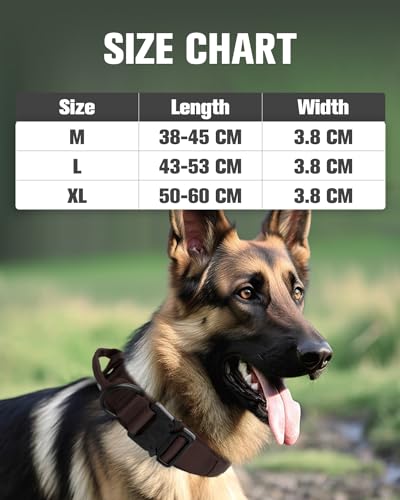 Joytale Taktisches Hundehalsband mit Griff Halsband Hund 3.8 cm Breit Hundehalsband für Große Hunde Verstellbar aus Nylon, Braun, L