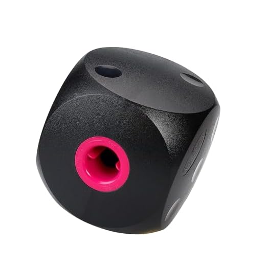 Buster Futterwürfel, schwarz