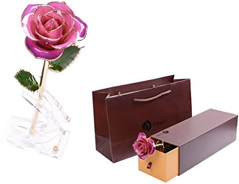 Light Purple Gold Dipped 24K Plated Real Rose 100% Natural Flower Long Stem Gift for Lover Valentine's Day Mother's Day Wife Daughter Birthday Anniversary Gifts+Stand+Gift Box Foil Trim