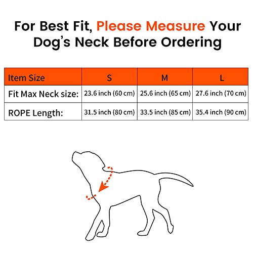 Howgo Slip Collar Climbing Rope Cinch Collar，Dog Training-For No Pull Leash Walking,Round Martingale Dog Collar For Small Medium Large Dogs (Medium, Orange) #TOP4