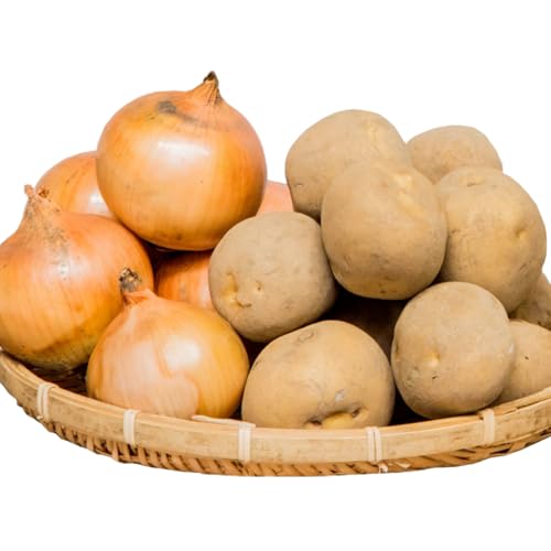 [先行予約]余湖農園 キタアカリ5kg・玉葱5kgセット 計10kg 全2種 野菜 詰め合わせ 北海道 恵庭市