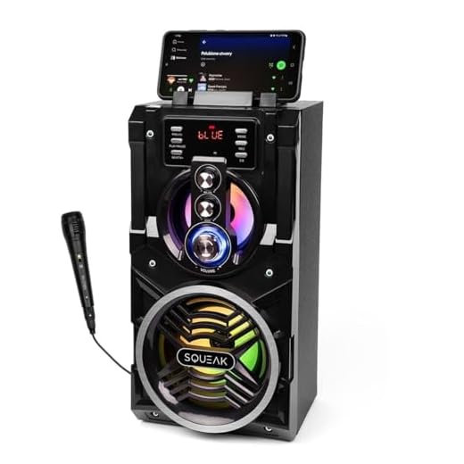 Altavoz Bluetooth Portátil SQ1000 Negro 20 W