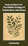 Moth and Black Fruit: The Hidden Ecology of Phyllanthus reticulatus