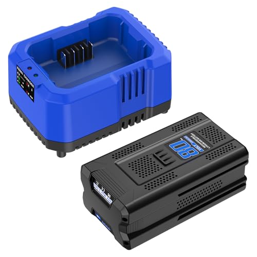 Amityke 80V Max 5.0Ah Battery & Rapid Charger for Kobalt 80V Battery