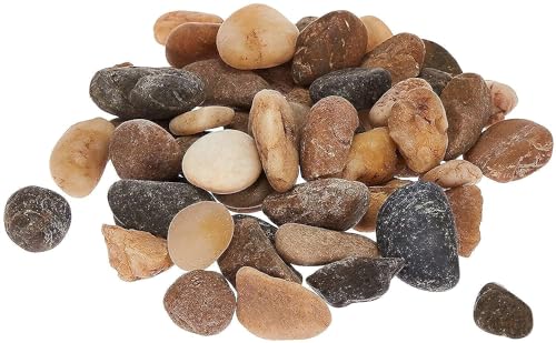 Super Z Outlet Mini Assorted Garden Beach Stone Rocks Pebbles Aquarium Lake Collection for Outdoor & Indoor Home Garden Decoration, Arts & Crafts Projects, Party Favors, Invitation (1 Pound Bag)