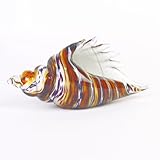 Badash Crystal - Murano Style Art Glass Conch Shell Inch Art Glass 11 by 6 Inch
