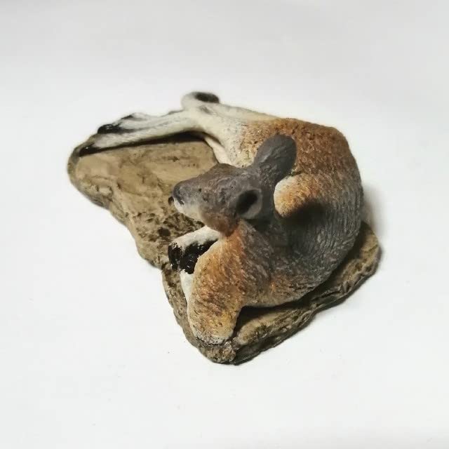 Amazon.co.jp: オーストラリア製 カンガルー置物 陶芸 J.Hancox