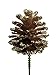 Natural Pinecones with Floral Pick - Premium Quality 2 Inch Pinecones with 5