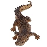 ADOCARN 1ピーシーリアルな鳄魚モデル 子供向け教育用認知玩具 ホームデコ