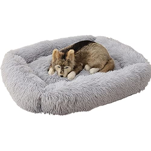 Sunny Sand Sea Cat Beds For Indoor Cats Rectangular Soft Plush Cute Cat Mat With Non-Slip Bottom Machine Washable (Small, Light Grey) #TOP23