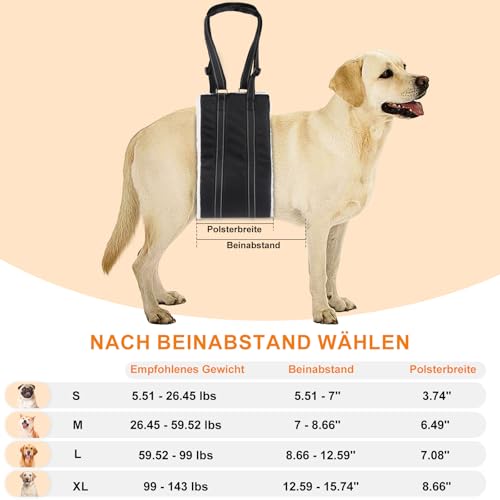 Tragehilfe Hund Einstellbare Hunde Tragehilfe Groß Hund Hinten Lift Support Geschirr für Kleine, Mittlere und Große Hunde zu Unterstützen für behinderte, verletzte oder ältere (M)