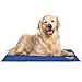 Arf Pets Pet Dog Self Cooling Mat Pad for Kennels, Crates and Beds 31 X 37