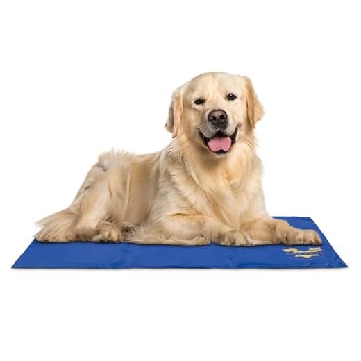 Arf Pets Pet Dog Self Cooling Mat Pad for Kennels, Crates and Beds 31 X 37