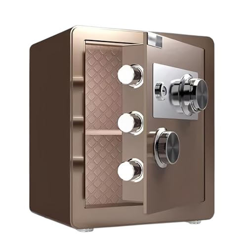 EZZPGDKU Caja Fuerte para Hogar – Caja Fuerte con Doble Cerradura (Combinación + Llave), Protección para Documentos, Dinero Y Objetos De Valor