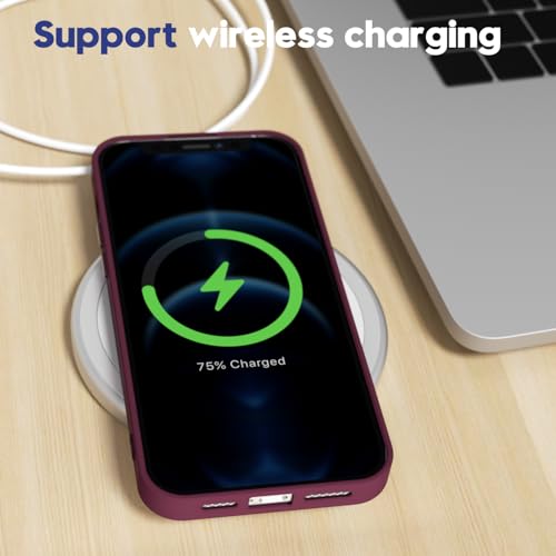 Oakxco 29 For Iphone 12 Pro Max Case Matte Clear, Translucent 12 Pro Max Phone Case, Anti-Fingerprint Frosted Hard Plastic & Soft Silicone Bumper thumb #6