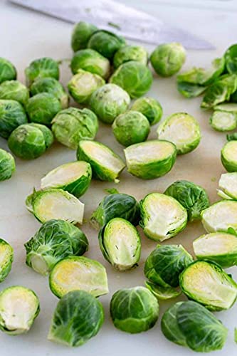 GARDENIFY INDIA BRUSSEL SPROUTS SEEDS (100 SEEDS/PACKET) (B094GSDVNT) Amazon Price History, Amazon Price Tracker