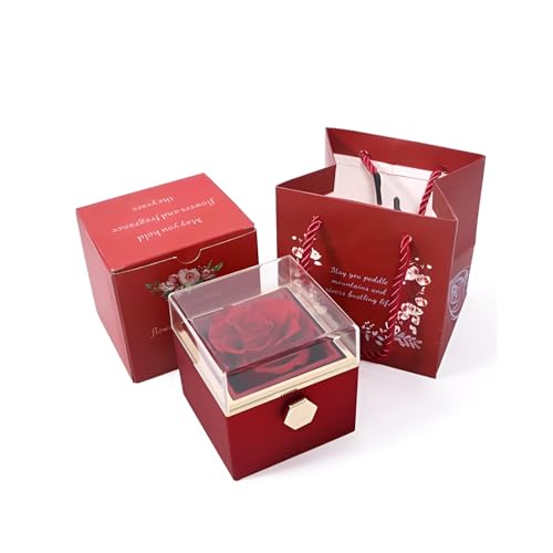 [pronala]]WG[{bNX y͂Ȃԕtz 360x] ANZT[[ y LO v[g p Mtg{bNX  1