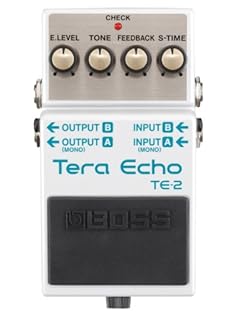 Next-generation BOSS compact pedal with innovative Multi-Dimensional Processing, realized with proprietary technology and custom DSP Rich, spacious echo and ambience effects Dramatically enhances the direct tone, but never overwhelms it Freeze functi...